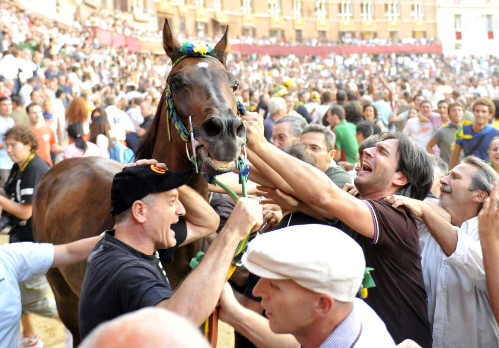 Su che canale vedere il Palio di Siena? Orario preciso, programma in