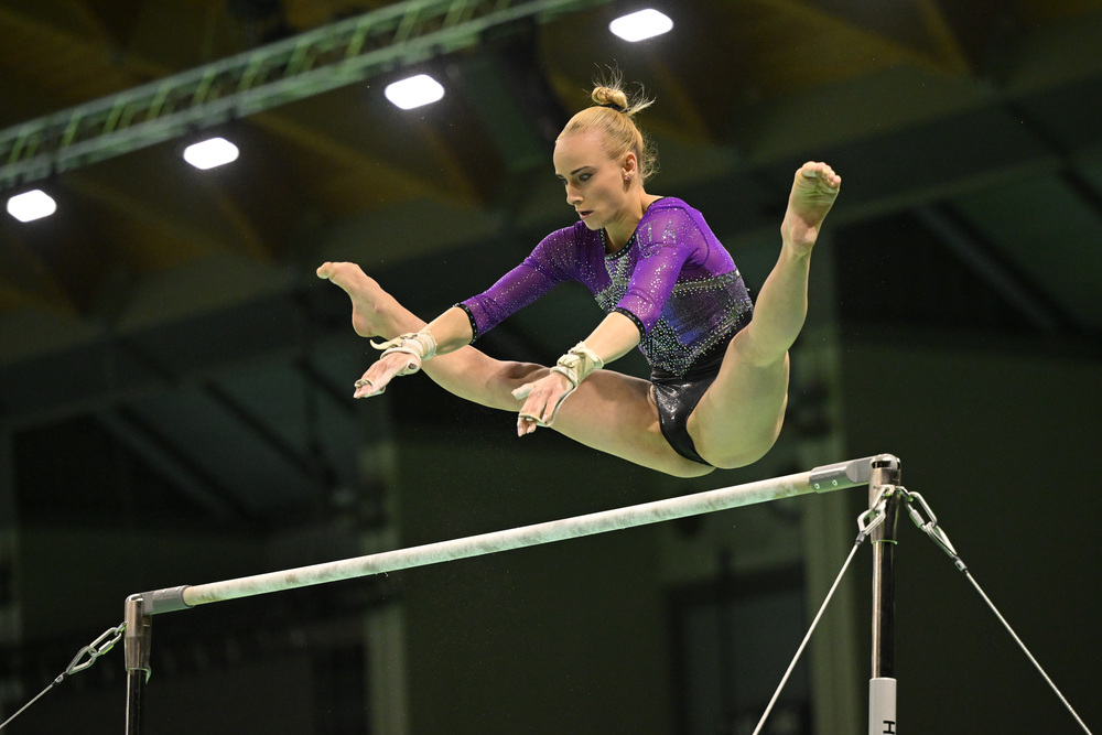 Ginnastica artistico 