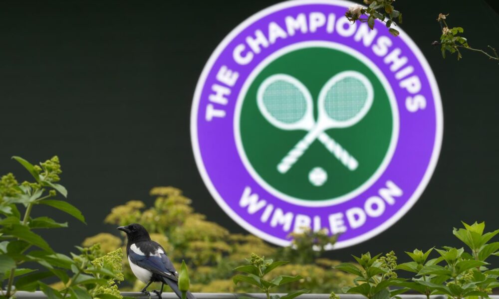 Wimbledon