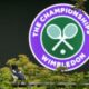 Wimbledon