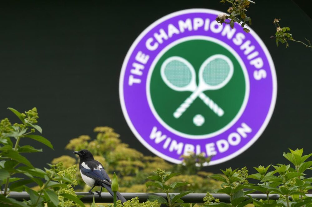 Wimbledon 2024, cambia il calendario delle Finali del torneo a Londra