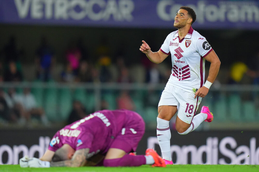 Hellas Verona-Torino