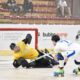 Italia hockey pista Maschile_FISR_Pizzighello