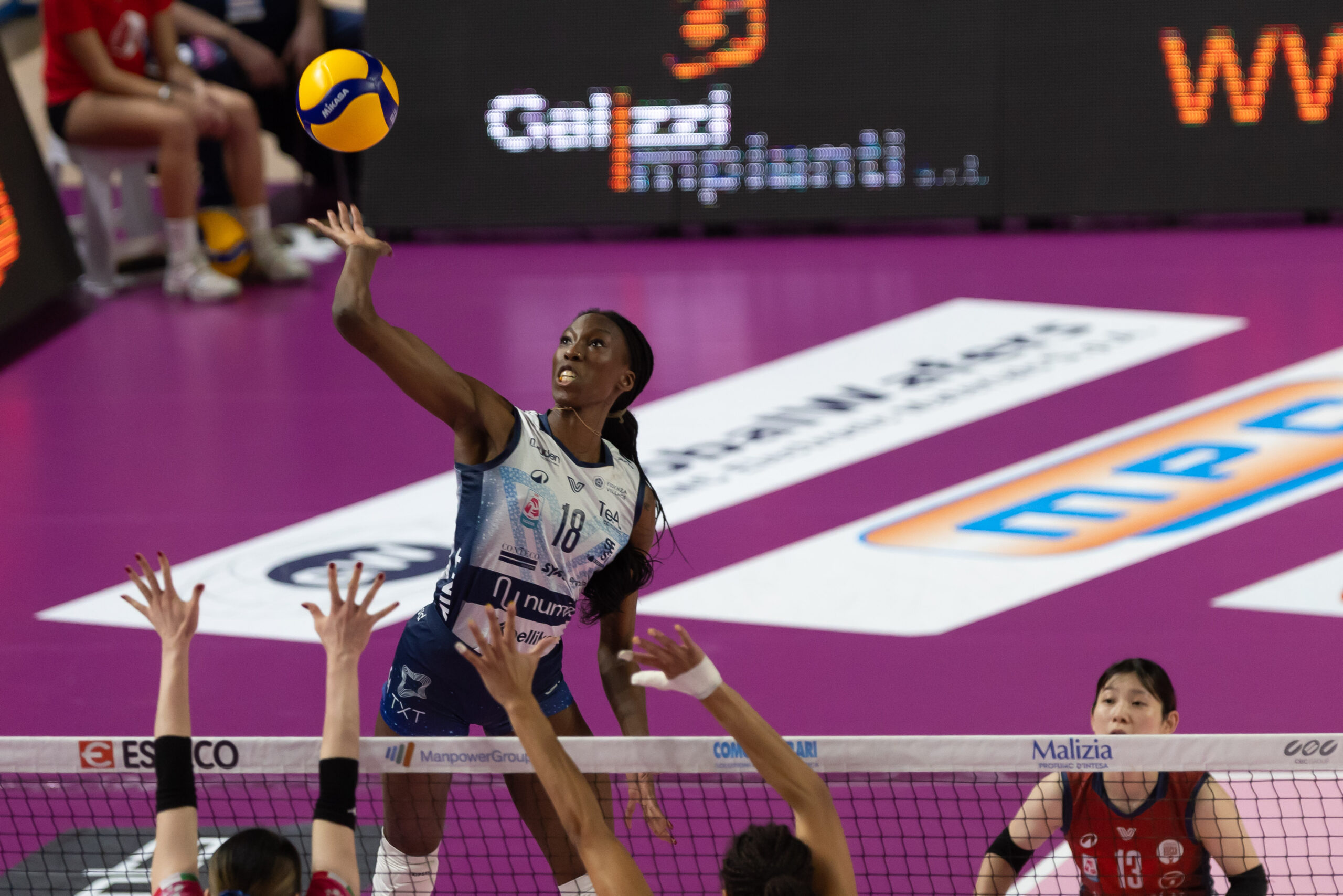 Porto Milano oggi in tv, Champions League volley femminile: orario, programma, streaming