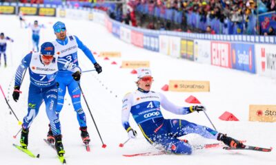 Vuorinen, Anger, Pellegrino